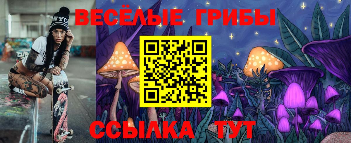Псилоцибиновые грибы GOLDEN TEACHER Ессентуки