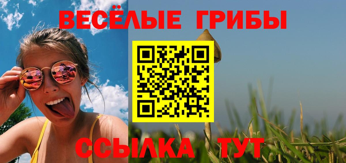 Галлюциногенные грибы MAGIC MUSHROOMS  Вход с VPN  Ессентуки 